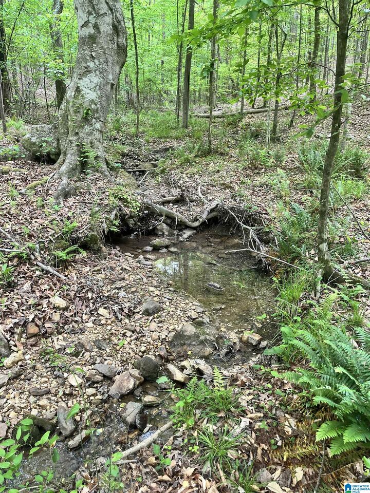 Property Photo:  0 County Road 928 10  AL 36258 