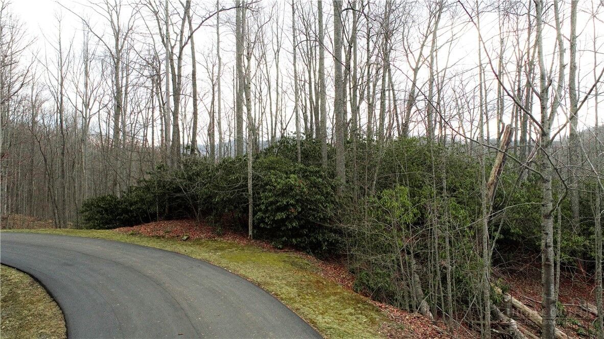 Property Photo:  Lot 324 Twin Rivers Drive  NC 28607 