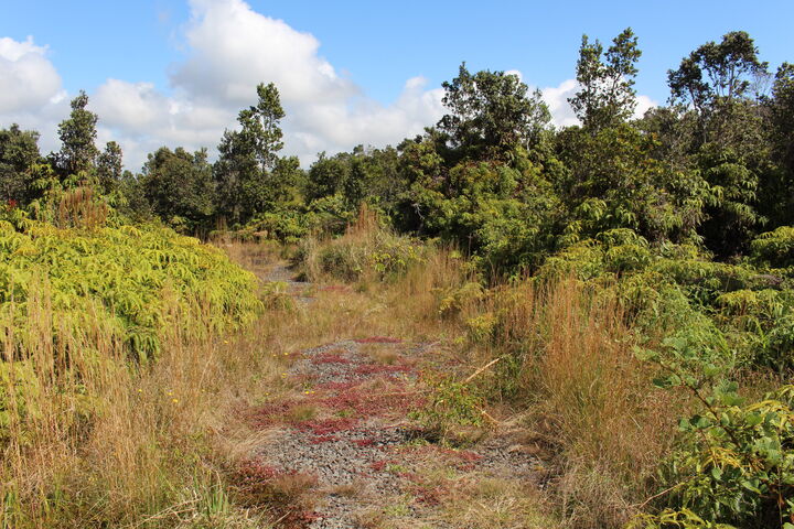 Property Photo:  Nahelenani St  HI 96785 