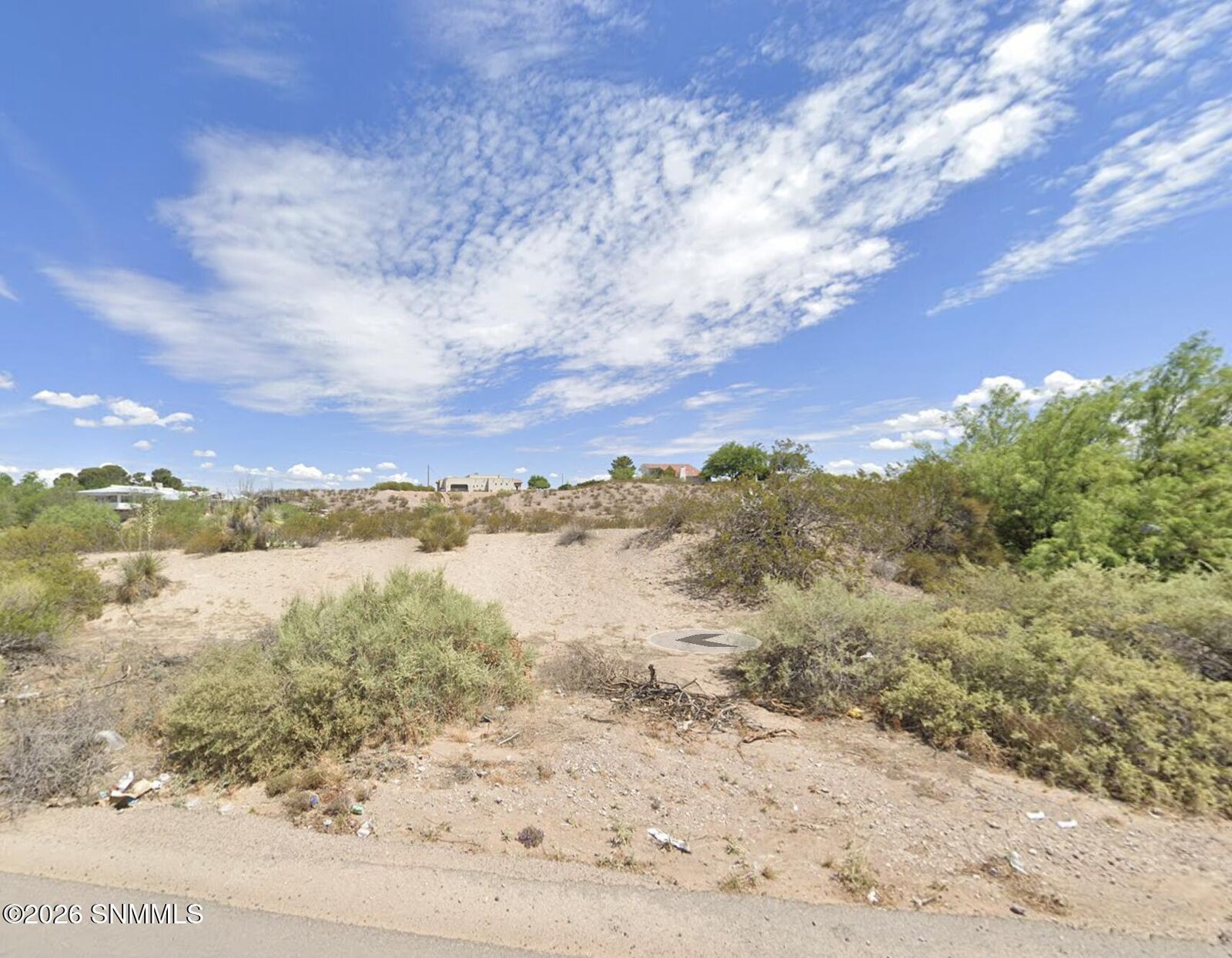 Property Photo:  4131 Johnson Lane  NM 88011 