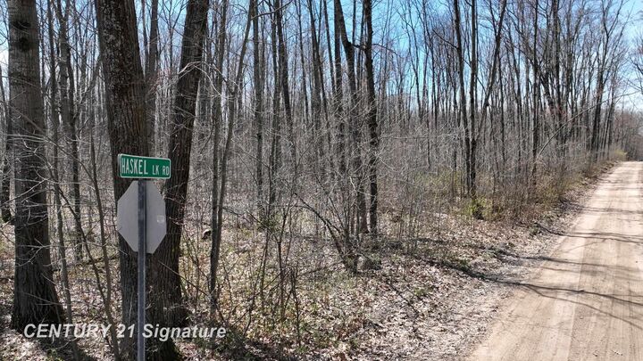 Property Photo:  8995 N Harrison Avenue  MI 48625 