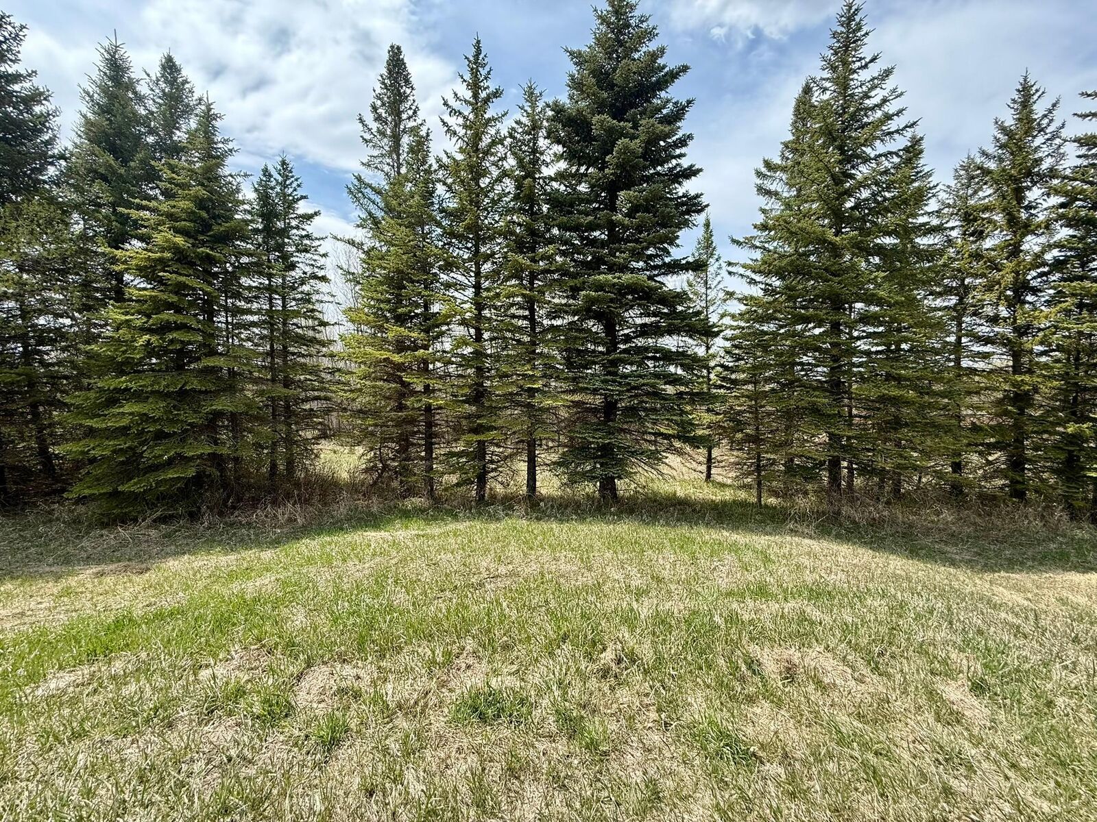 Property Photo:  16025 245th Avenue  MN 56334 