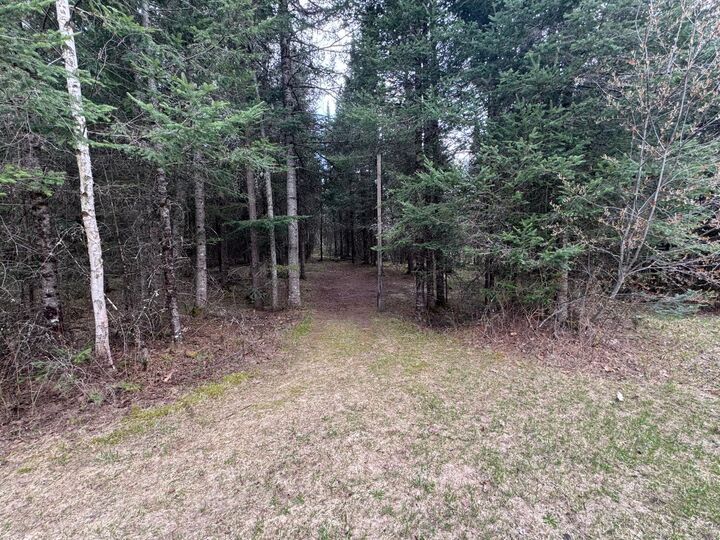 Property Photo:  8225 N Blaisdell Lake  WI 54896 