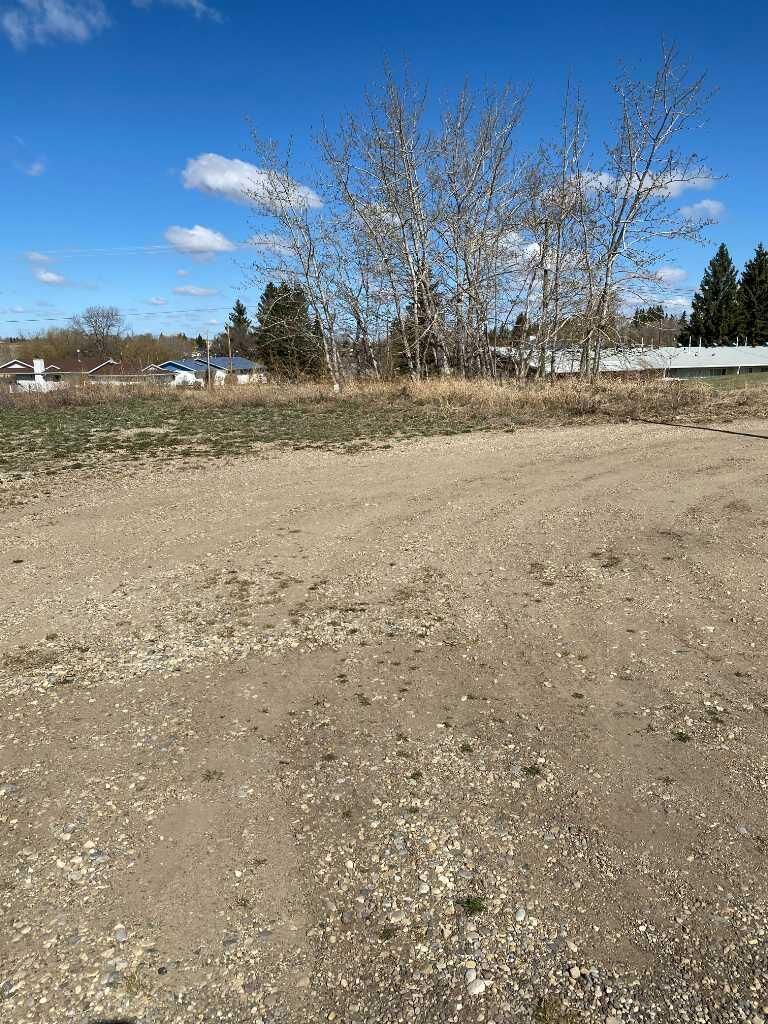 Property Photo: 4816 50 Street AB T0C 0B0