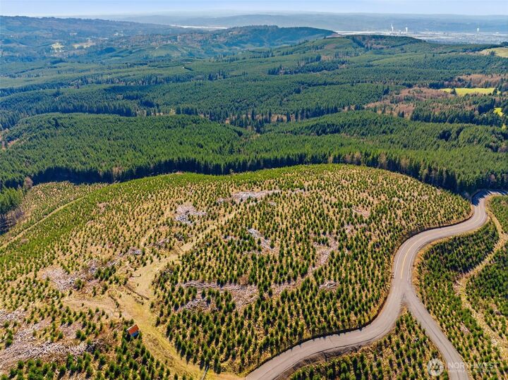 Property Photo:  0 Lot 2  Mt Brynion Road  WA 98626 