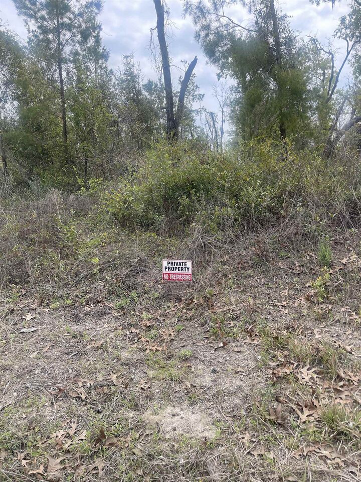 Property Photo:  0 E Royal Oak Drive  FL 32348 