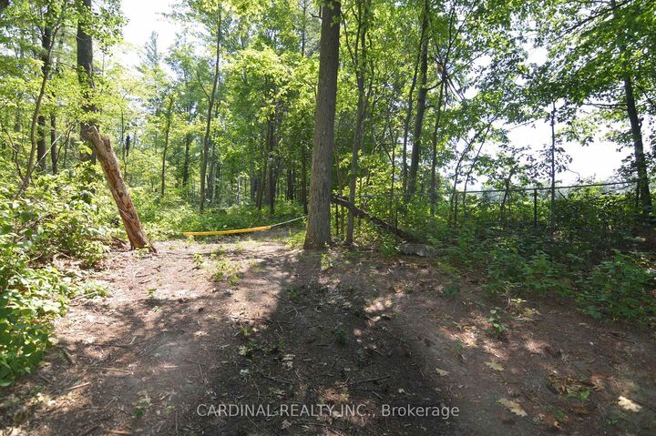 Property Photo: 0 Browns/George - Vacant Lot Road ON K0K 2X0