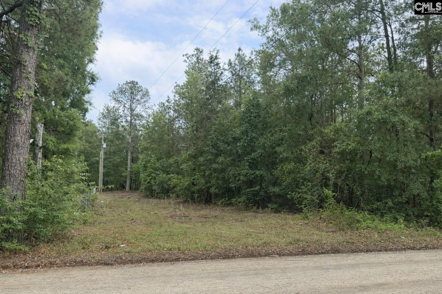 Property Photo:  500 Bowman  SC 29045 