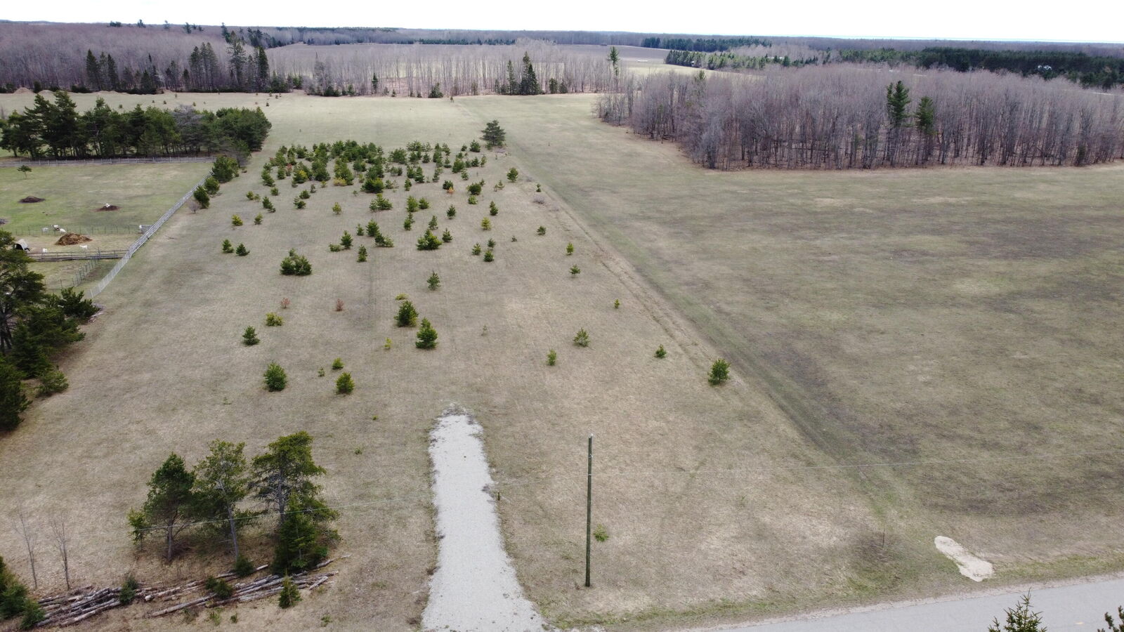 Property Photo: 7.25 Acres E Traynor Rd MI 49736