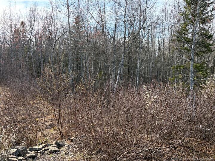 Property Photo:  Lot 1 Cocagne Sud  NB E4R 2C9 