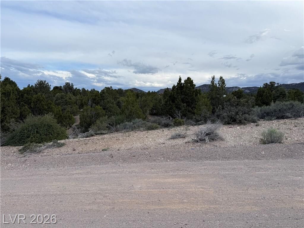 Property Photo:  0 Timber Crest Way  NV 89043 