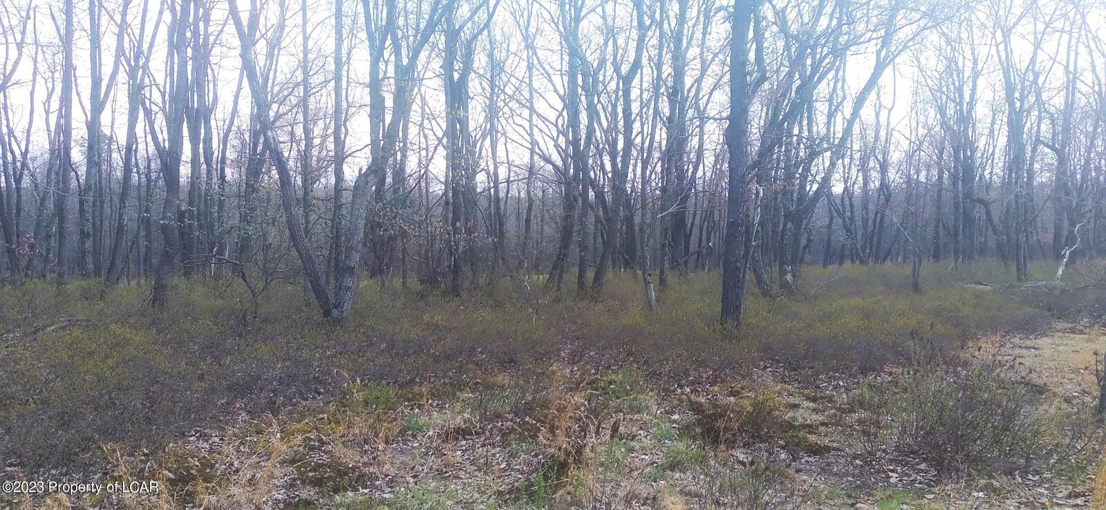 Property Photo: Erii 398 Crooked Stick Lane PA 18202
