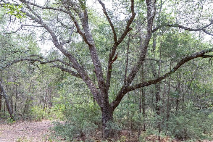 Property Photo:  Tbd Fm 1094  TX 78950 