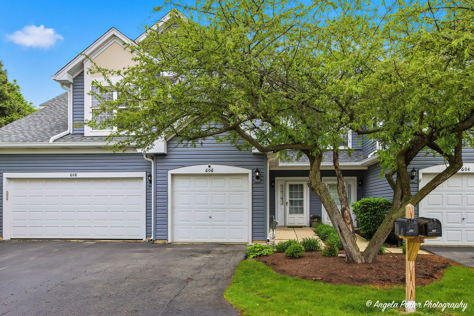 Property Photo:  606 Hartford Court  IL 60543 