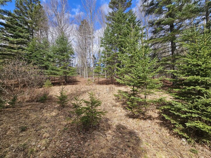 Property Photo:  Lot 9 Amber Road  ME 04970 