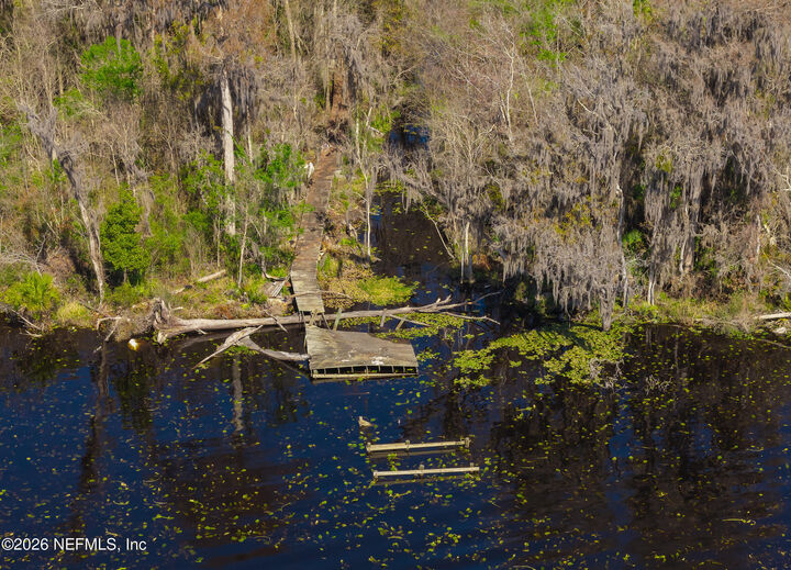 Property Photo:  121 Panther Trail  FL 32177 