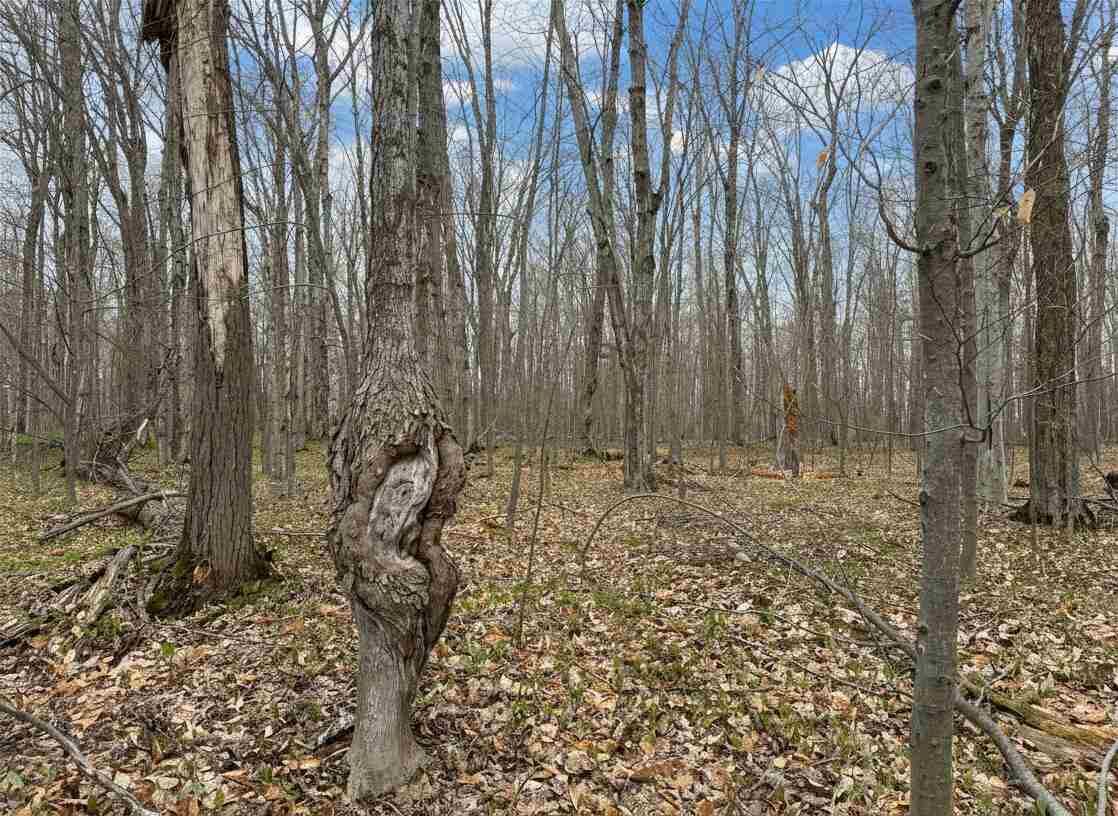 Property Photo:  1.7 Acre Latocha  MI 49769 