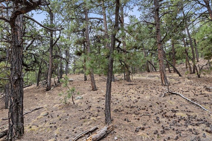 Property Photo:  8653 N Teacup Road  CO 80106 