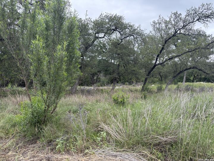 Property Photo:  1464 Stahlman Way  TX 78132 