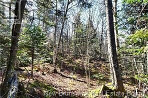 Property Photo:  Lot 88-109 Bunker Hill Road  NB E5E 1M3 