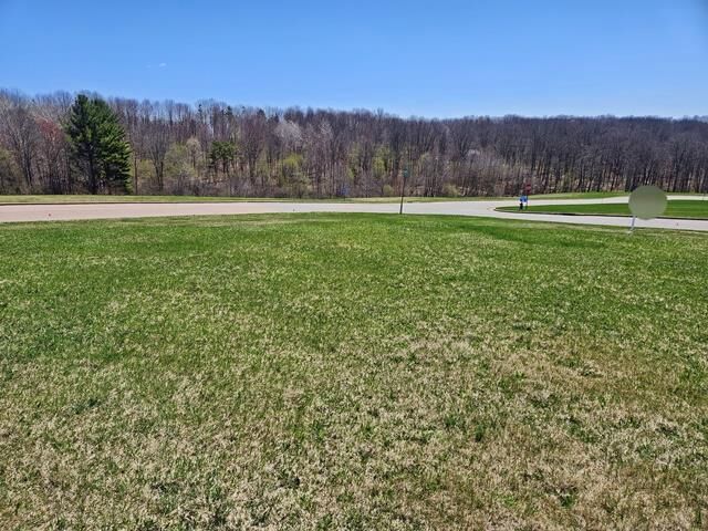 Property Photo:  Lot 3 Lucille Lane  WI 54456 