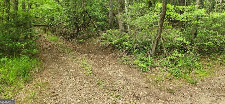 Property Photo:  13 Ac Goose Island Road  GA 30540 