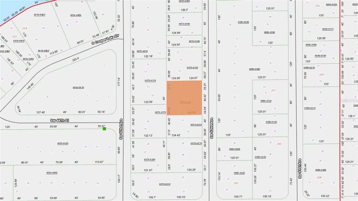 Property Photo:  52nd Avenue  FL 32148 