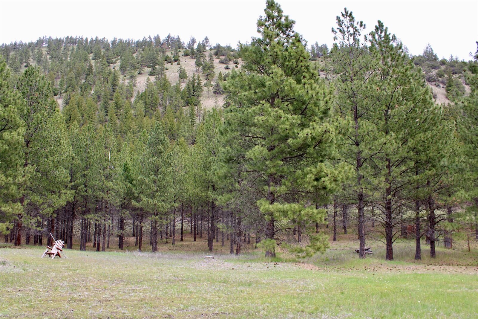 Property Photo:  Nhn Sleeman Creek Road  MT 59847 