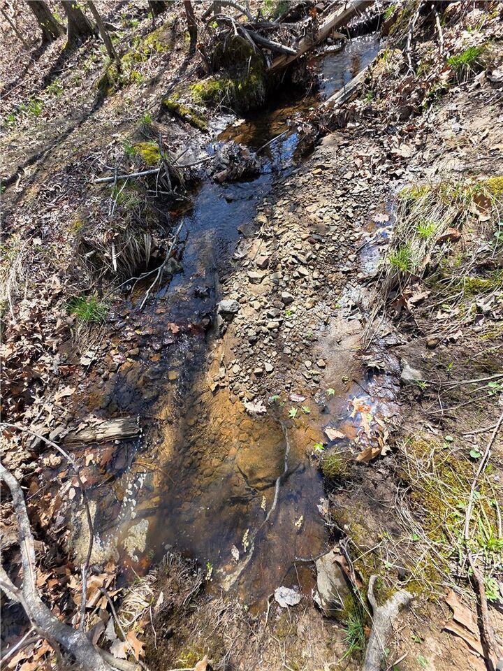 Property Photo:  Mountain Springs Rd  AR 72624 