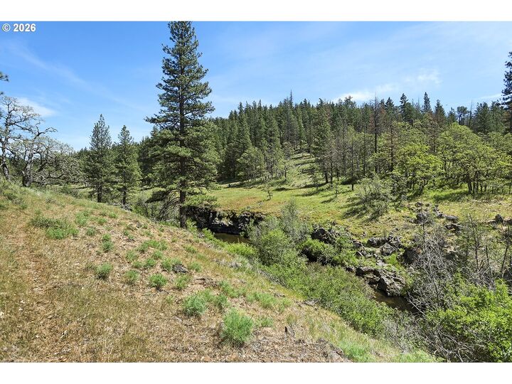 Property Photo:  Nka Thomson Trail  WA 98620 