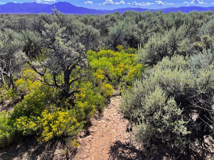Property Photo: Xx Rim Road Cb-115 (Parcel B Rancho Sabina Desgeorges NM 85717