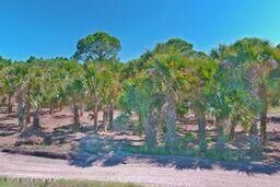 Property Photo:  000 W Port St John Parkway Parkway  FL 32927 