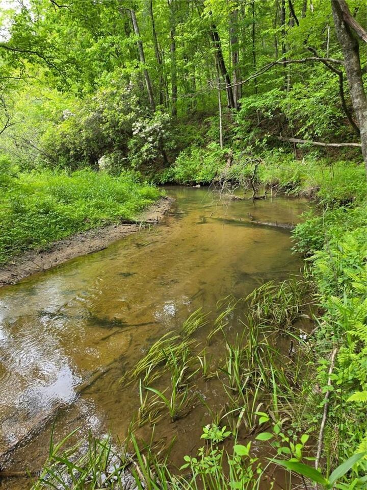 Property Photo:  409 Harrison Sluder Road  GA 30540 