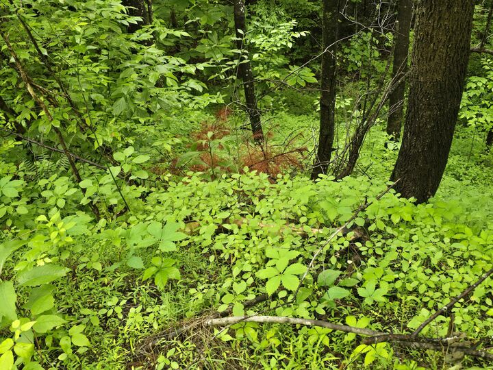 Property Photo: 36 US Hwy 119 KY 40813