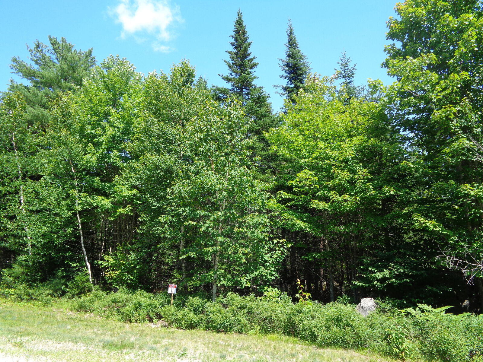 Property Photo: Lot 11 Bailey Mountain Road ME 04634
