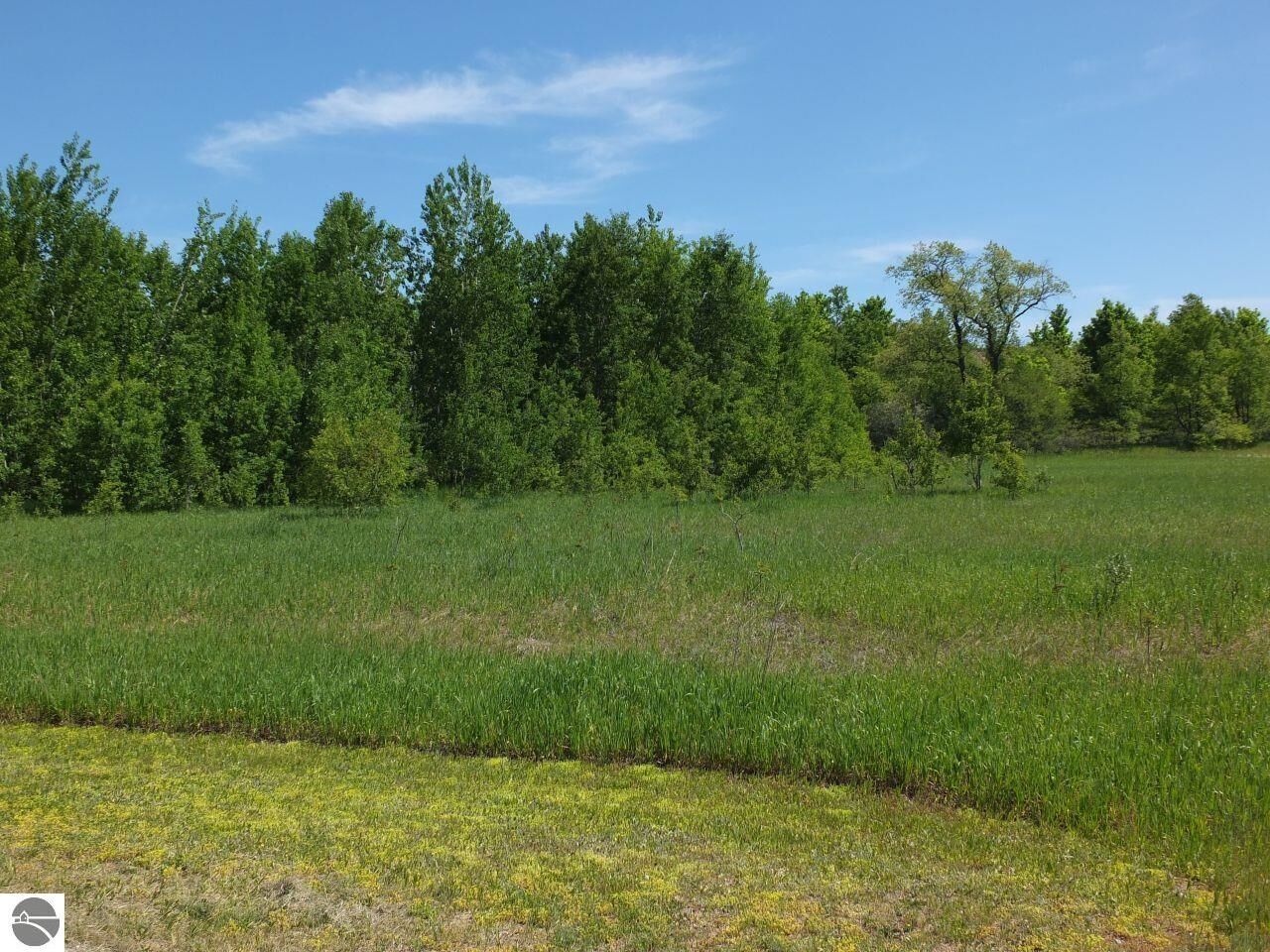 Property Photo: 9273 Kingsfield Drive MI 49649