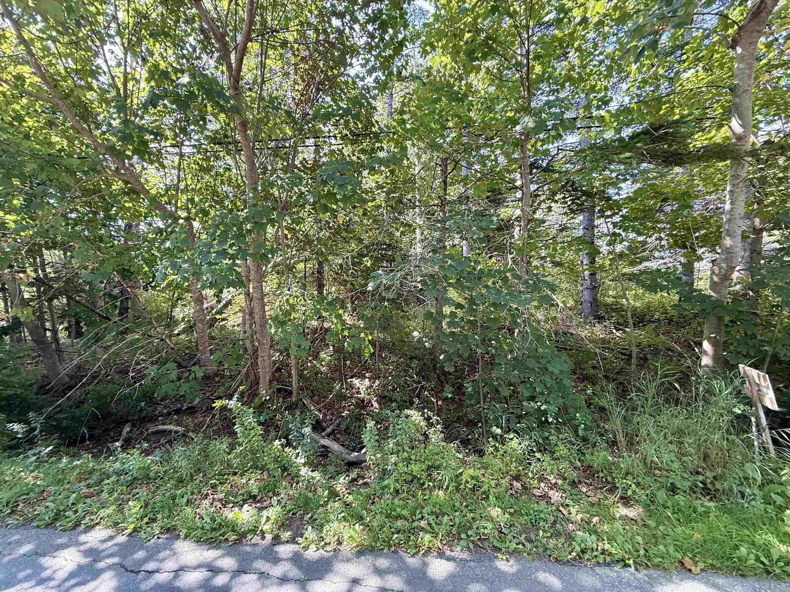 Property Photo:  Lot 2 Green Bay Road  NS B0J 2P0 