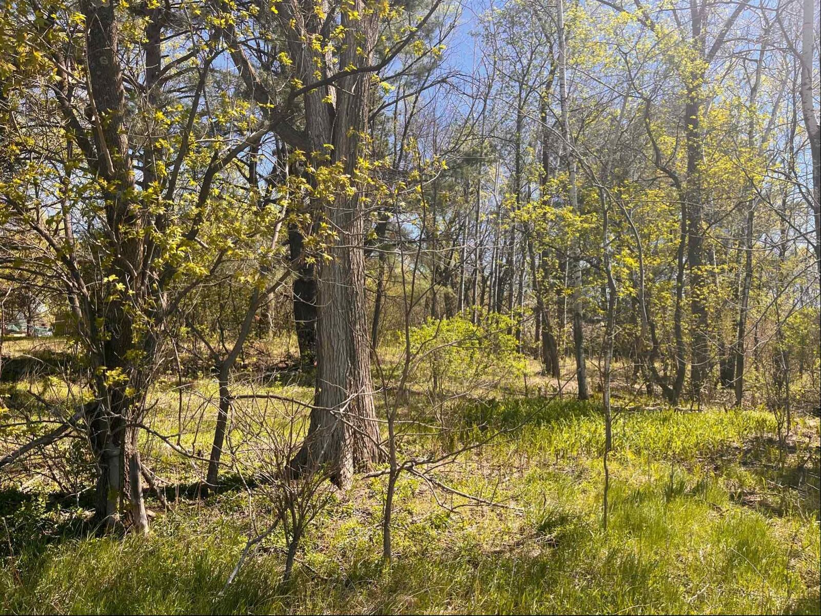 Property Photo:  23xx River Road  WI 54024 
