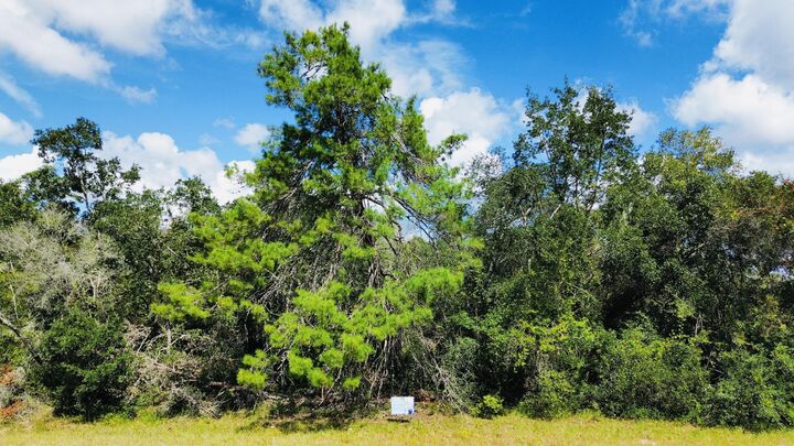 Property Photo:  Tbd SW 37th Circle  FL 34473 