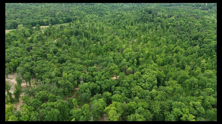 Property Photo:  89 Ac Cub Run Road  KY 42729 