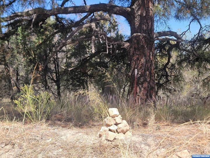 Property Photo:  Xx Tyrone Thompson Road  NM 88061 