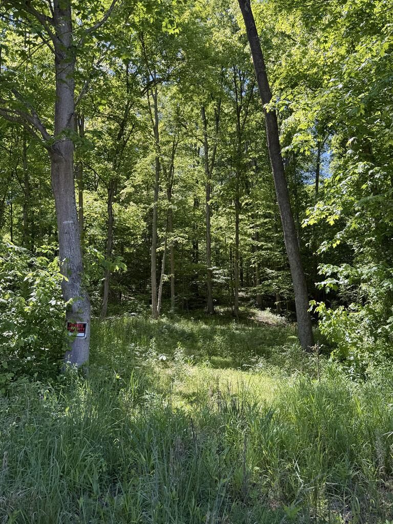 Property Photo: 560 Sunfish Creek Road OH 45690