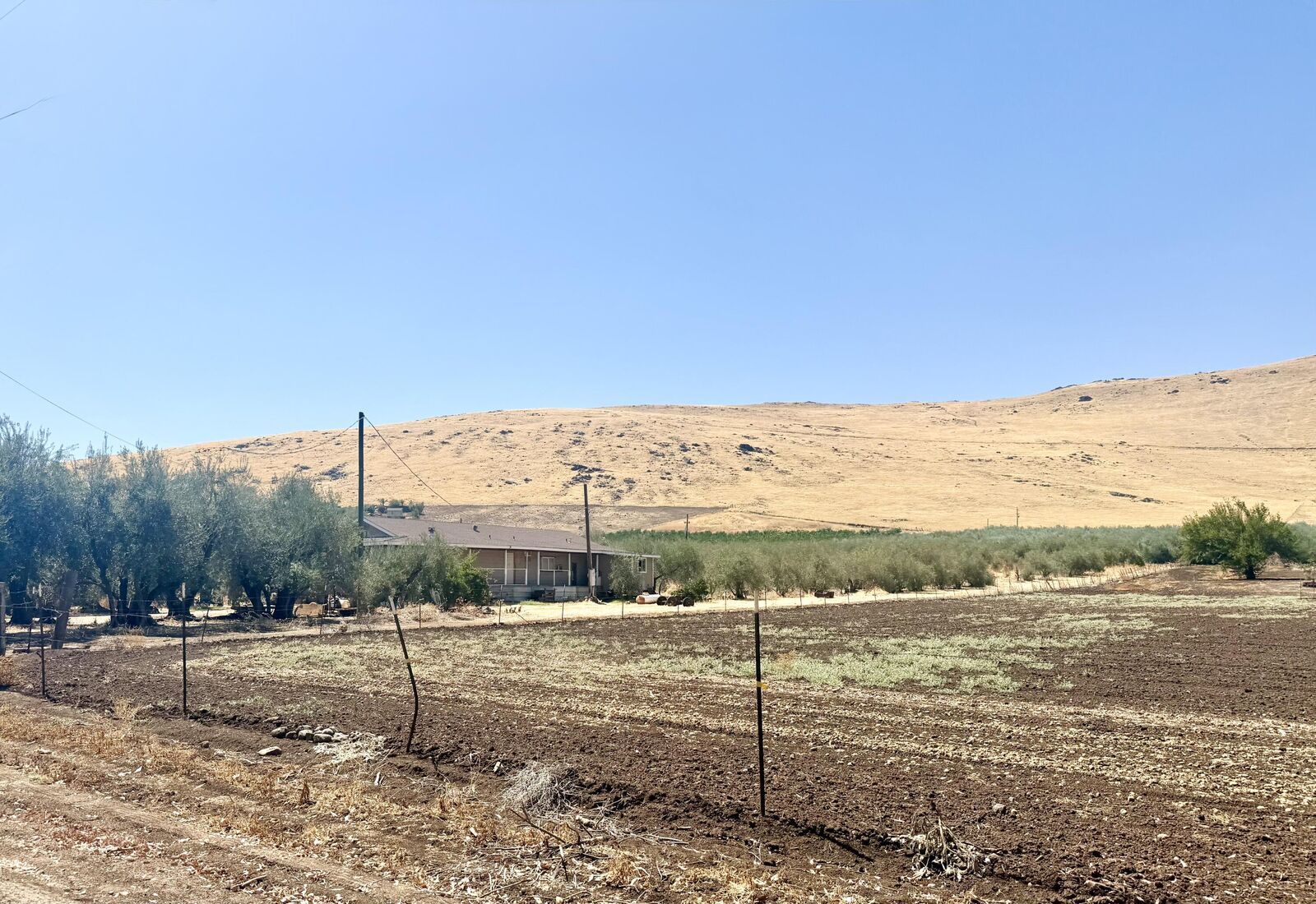 Property Photo:  36189 Road 196  CA 93286 