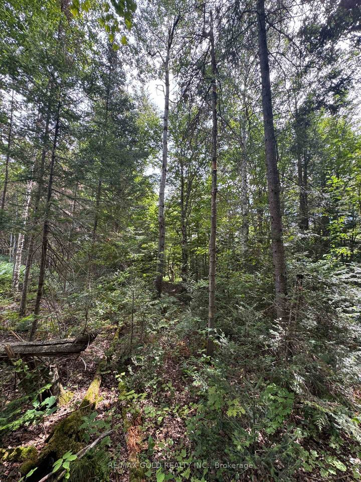 Property Photo:  1791 Alsace Road  ON P0H 1Z0 
