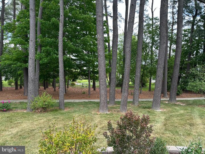 Property Photo:  29684 Sullivan Drive  MD 21601 