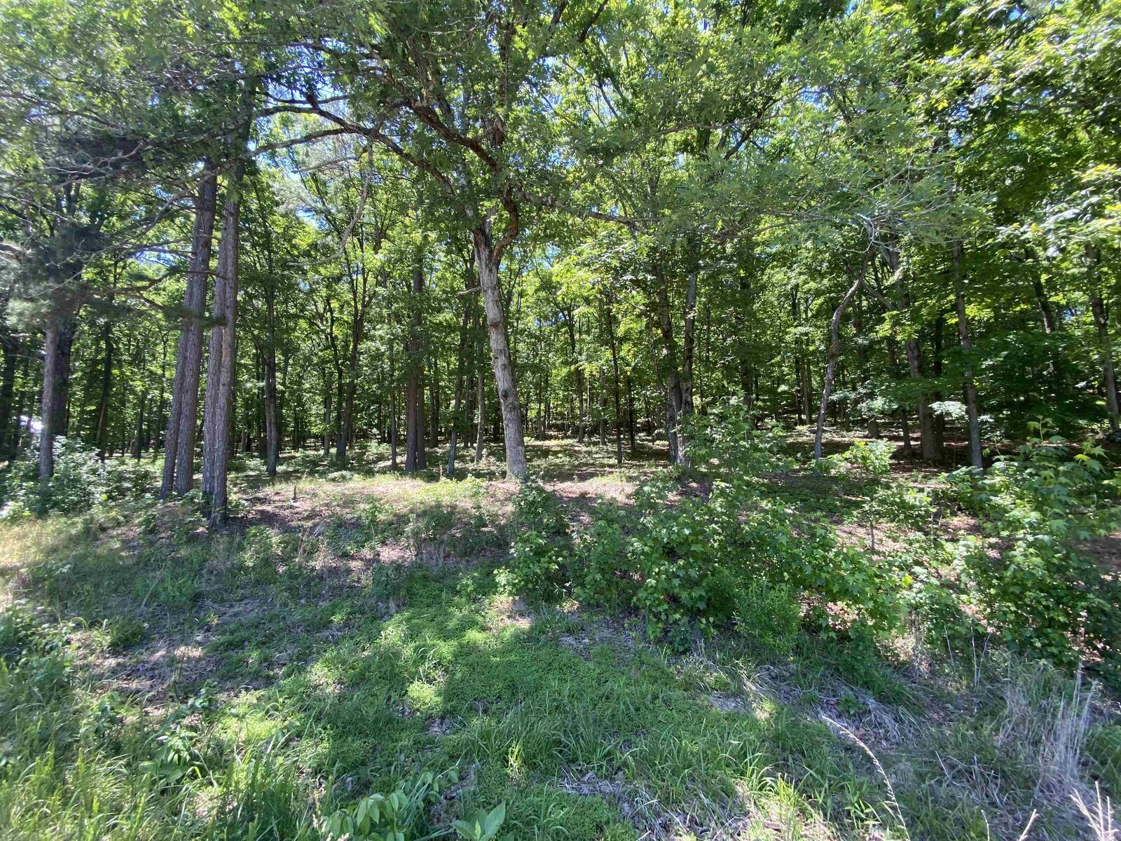 Property Photo:  215 Watersedge Drive  AR 72044 