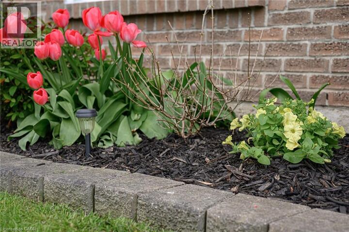 Property Photo:  105 Maple Avenue  ON N5A 7G8 