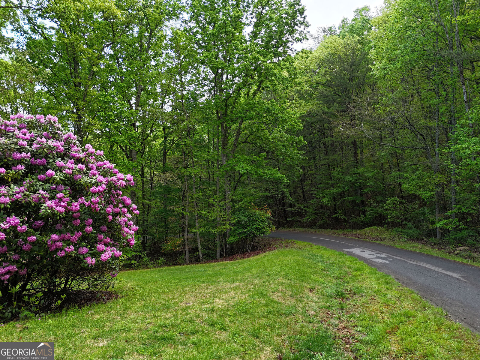 Property Photo:  L93-95 Timberline 93,94,95  GA 30582 