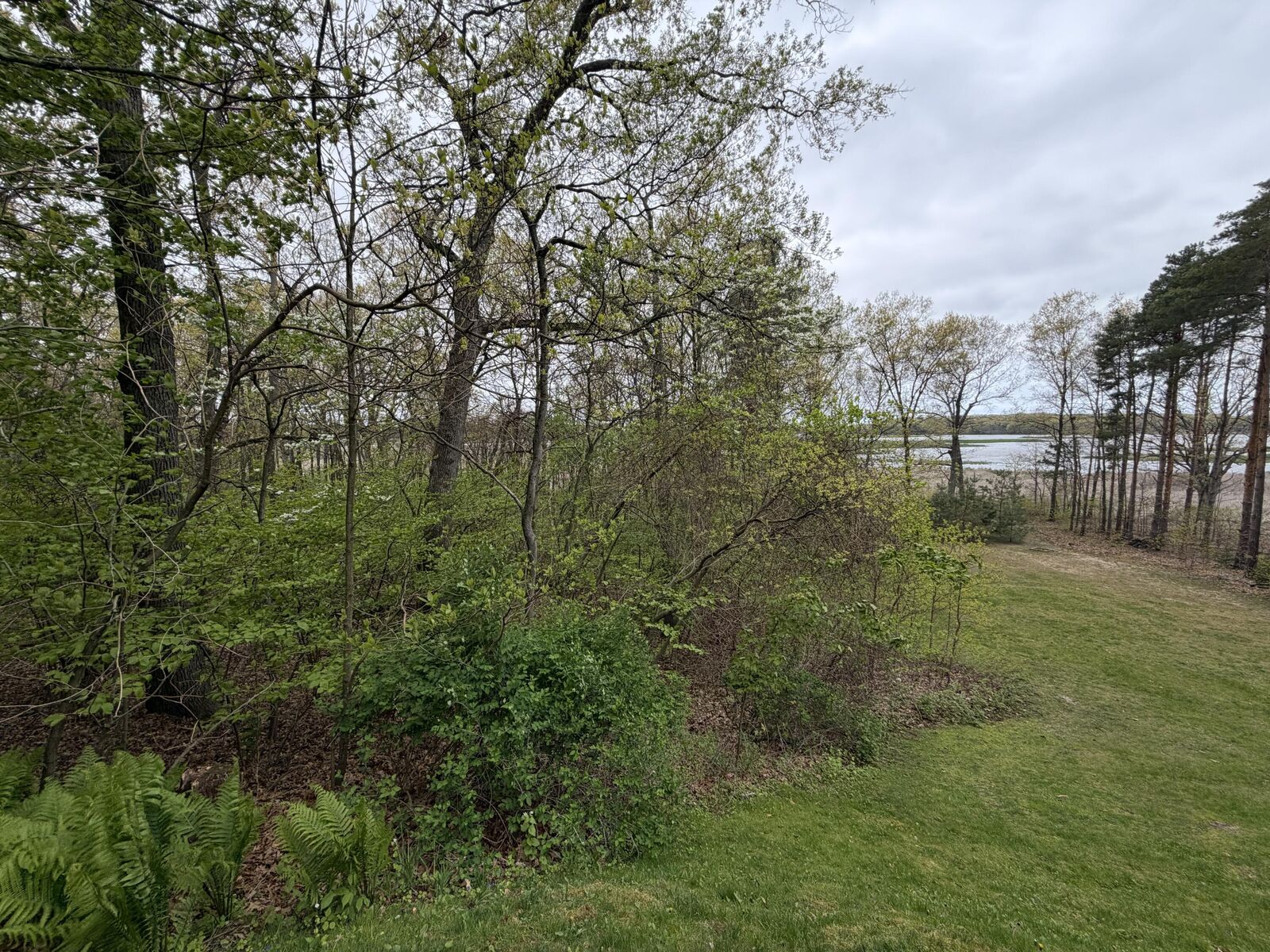 Property Photo:  3114 Red Oak Drive  MI 49453 