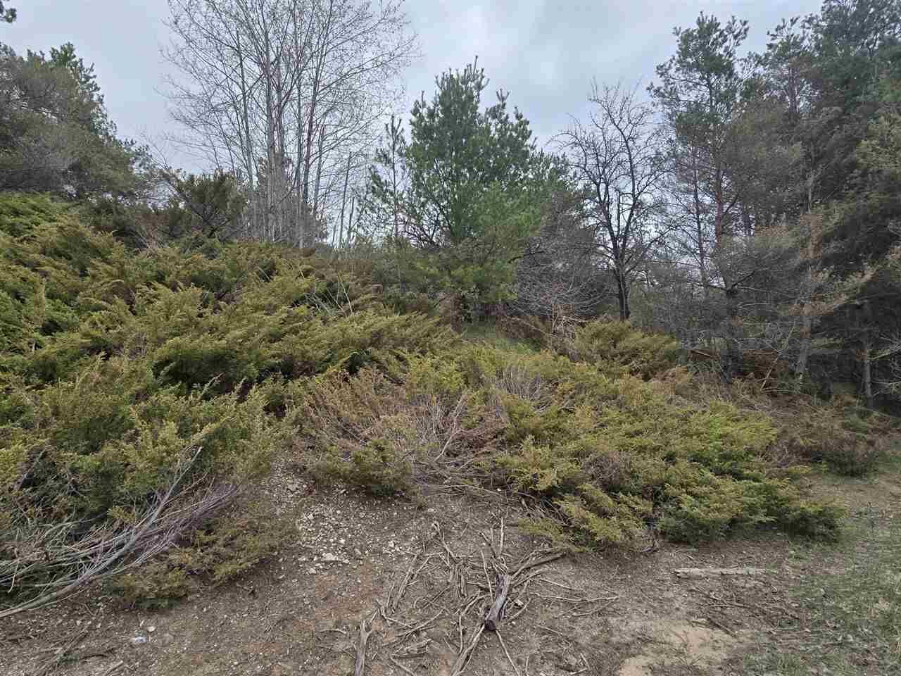 Property Photo:  4936 Johnston Hill  MI 49740 